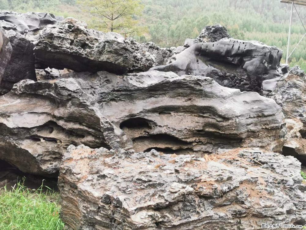 风景石、假山石大量有货，有需要的欢迎联系 - 新手上路 - 新乡生活社区 - 新乡28生活网 xx.28life.net
