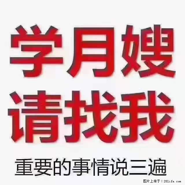 为什么要学习月嫂，育婴师？ - 新手上路 - 新乡生活社区 - 新乡28生活网 xx.28life.net