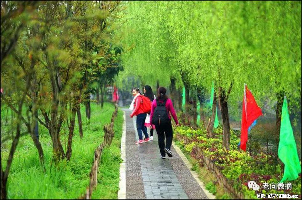 【春天，广西桂林灌阳县向您发出邀请！】江口老街又逢春 - 游山玩水 - 新乡生活社区 - 新乡28生活网 xx.28life.net