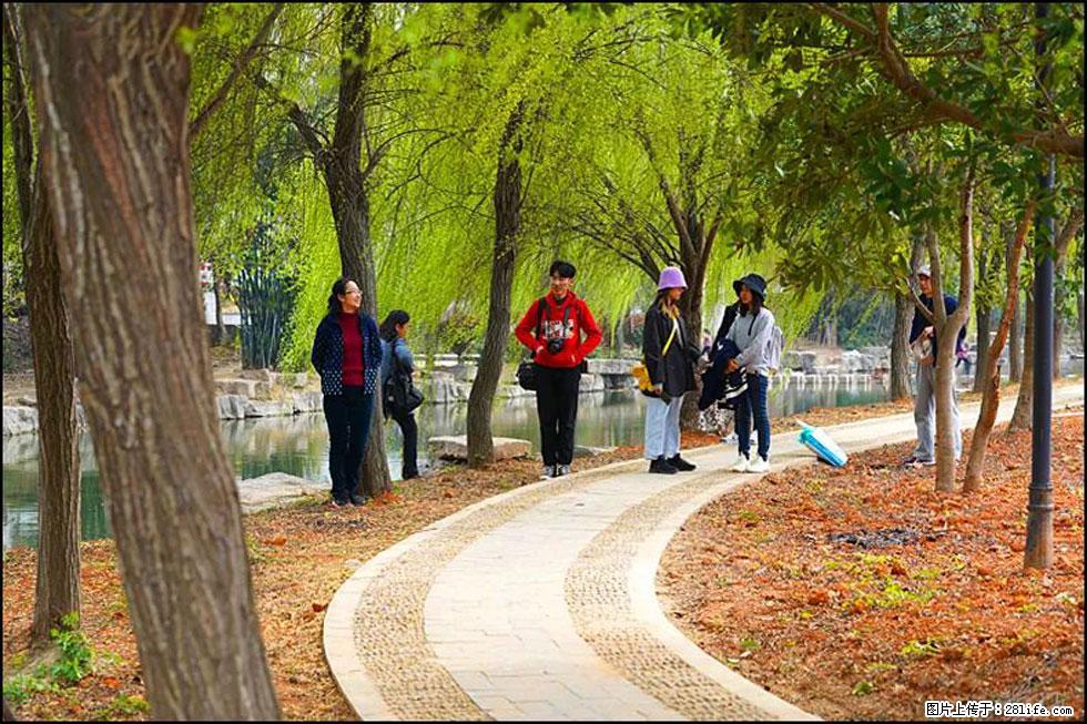 【春天，广西桂林灌阳县向您发出邀请！】江口老街又逢春 - 游山玩水 - 新乡生活社区 - 新乡28生活网 xx.28life.net