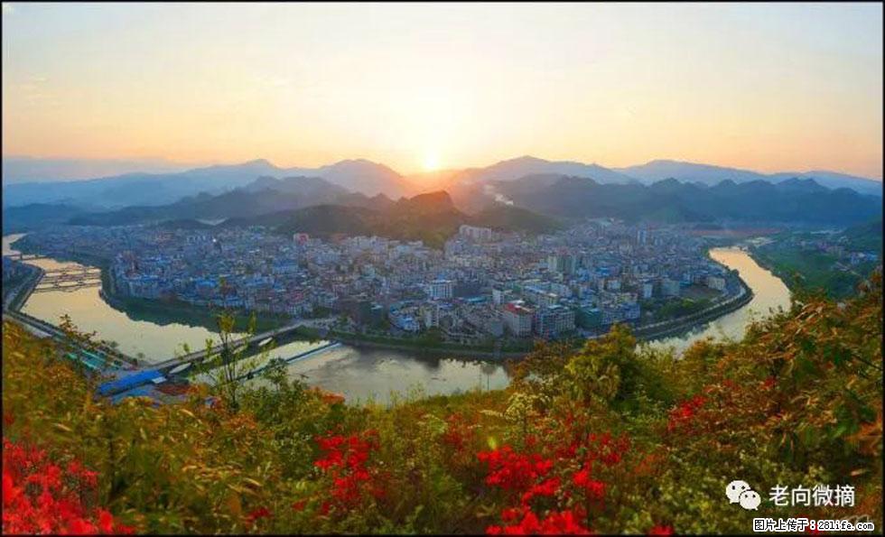 【春天，广西桂林灌阳县向您发出邀请！】登麒麟山，相约映山红 - 游山玩水 - 新乡生活社区 - 新乡28生活网 xx.28life.net