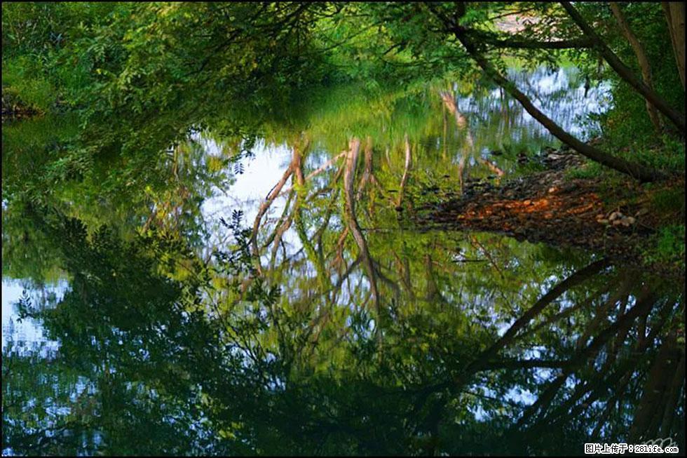 【春天，广西桂林灌阳县向您发出邀请！】熊家寨湿地公园 - 游山玩水 - 新乡生活社区 - 新乡28生活网 xx.28life.net