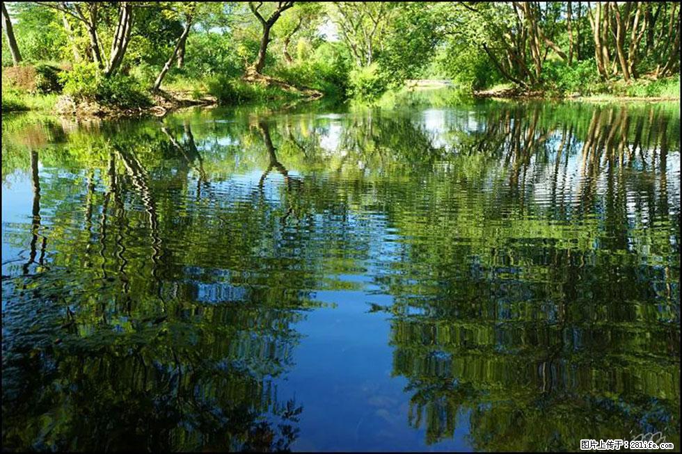 【春天，广西桂林灌阳县向您发出邀请！】熊家寨湿地公园 - 游山玩水 - 新乡生活社区 - 新乡28生活网 xx.28life.net