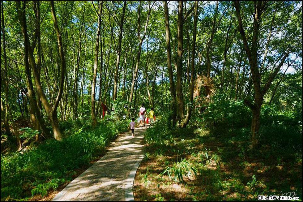 【春天，广西桂林灌阳县向您发出邀请！】熊家寨湿地公园 - 游山玩水 - 新乡生活社区 - 新乡28生活网 xx.28life.net