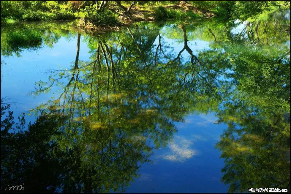 【春天，广西桂林灌阳县向您发出邀请！】熊家寨湿地公园 - 游山玩水 - 新乡生活社区 - 新乡28生活网 xx.28life.net