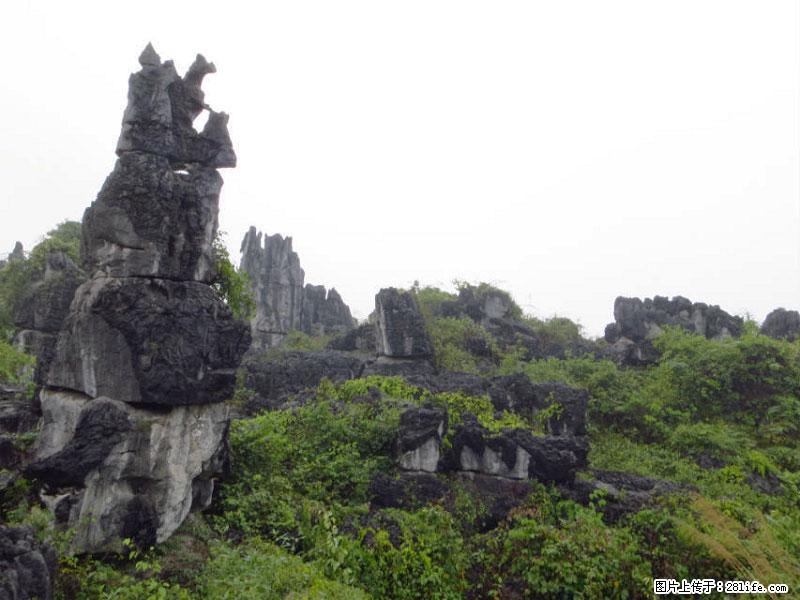 桂林旅游名城景点：灌阳文市石林 - 游山玩水 - 新乡生活社区 - 新乡28生活网 xx.28life.net