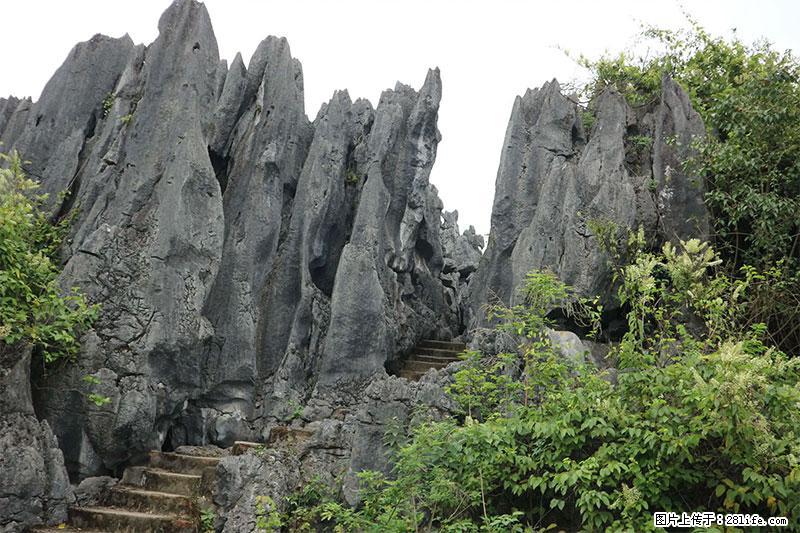 桂林旅游名城景点：灌阳文市石林 - 游山玩水 - 新乡生活社区 - 新乡28生活网 xx.28life.net