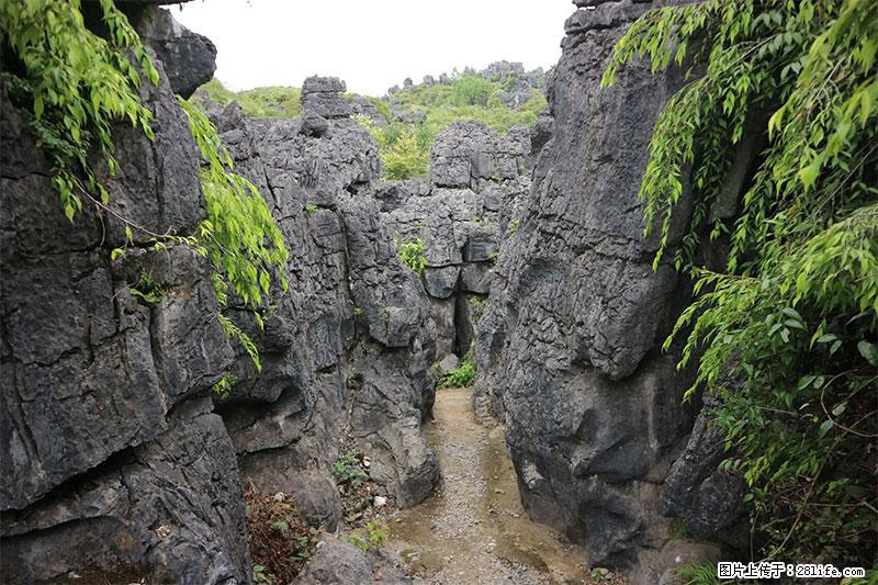 桂林旅游名城景点：灌阳文市石林 - 游山玩水 - 新乡生活社区 - 新乡28生活网 xx.28life.net