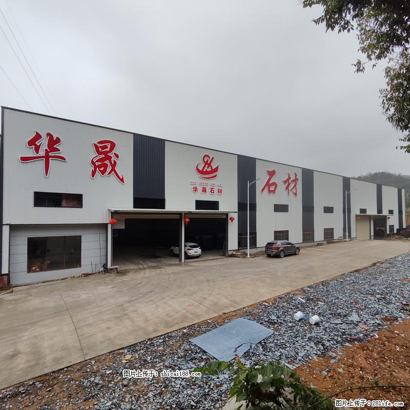 【广西华晟黑白根生产基地】shicai188.julong5.com 专业供应黑白根、广西白、金镶玉 - 网站推广 - 广告专区 - 新乡分类信息 - 新乡28生活网 xx.28life.net
