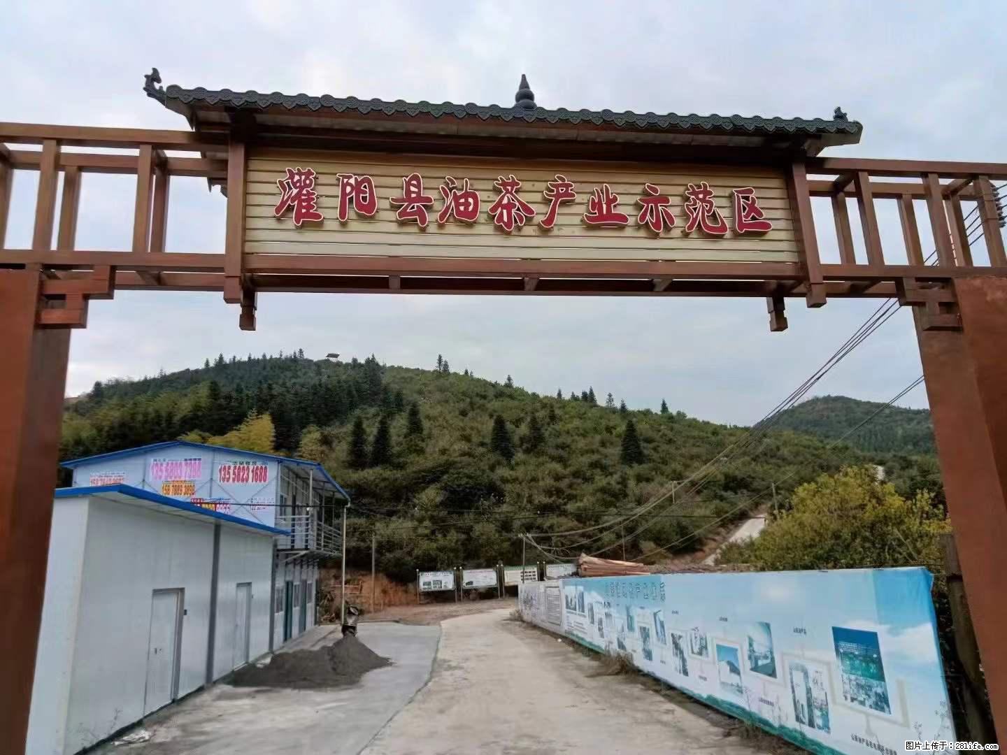 【灌阳县油茶产业示范区】一个有着充实的精神生活的人，对待身外之物自会有一种淡泊的态度 - 土特产 - 饮食特产 - 新乡分类信息 - 新乡28生活网 xx.28life.net