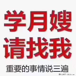 为什么要学习月嫂，育婴师？ - 新乡28生活网 xx.28life.net