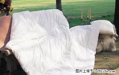 被子有异味？只要这样做，比晒太阳还强100倍！ - 家居生活 - 新乡生活社区 - 新乡28生活网 xx.28life.net