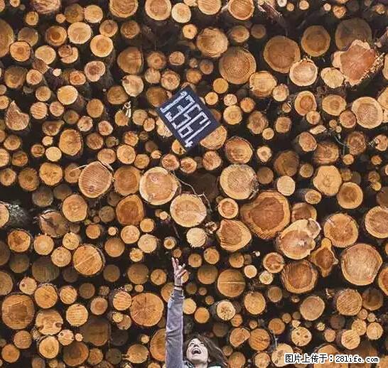 辞掉工作周游世界？现在他们在洗厕所…… - 游山玩水 - 新乡生活社区 - 新乡28生活网 xx.28life.net