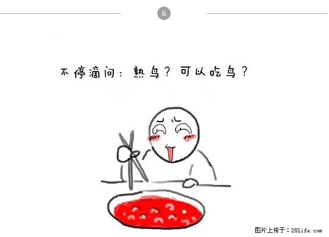 千万不要和这9种哈卵一起吃火锅！ - 美食天地 - 新乡生活社区 - 新乡28生活网 xx.28life.net