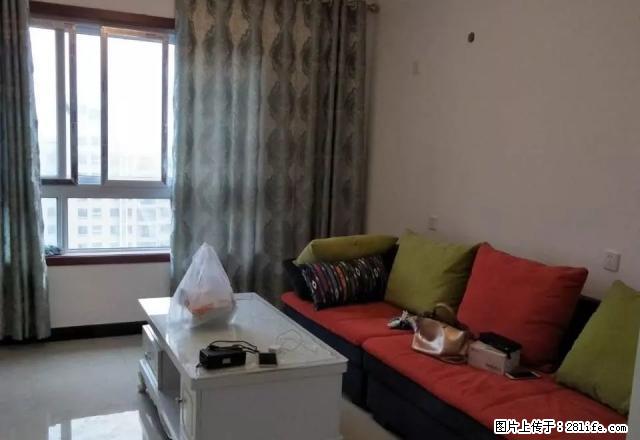 金谷阳光地带 精装修 未住过人 干净 - 房屋出租 - 房屋租售 - 新乡分类信息 - 新乡28生活网 xx.28life.net