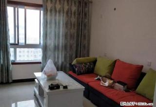 金谷阳光地带 精装修 未住过人 干净 - 新乡28生活网 xx.28life.net