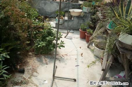 安居新村 一楼 两室 家具家电出租 - 房屋出租 - 房屋租售 - 新乡分类信息 - 新乡28生活网 xx.28life.net