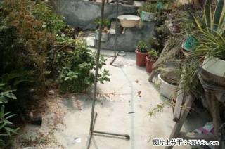 安居新村 一楼 两室 家具家电出租 - 新乡28生活网 xx.28life.net