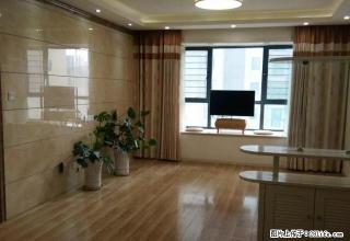 励阳房产高档精装修+双气+拎包入住+可以办公可住宿 - 新乡28生活网 xx.28life.net