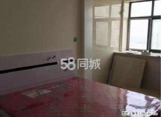 红星城市广场，1室精装，双气，配套齐全，紧邻新一中，定国湖。 - 新乡28生活网 xx.28life.net