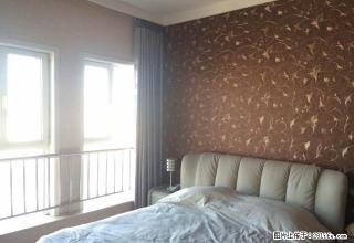 宝龙附近靖业公元国际豪华装修小公寓 出租 办公居住都可 - 新乡28生活网 xx.28life.net
