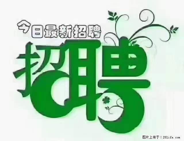 【招聘摄像师】待遇：试用期6000元/月，转正7000元/月+五险一金+餐补+节日福利+奖金 - 职场交流 - 新乡生活社区 - 新乡28生活网 xx.28life.net