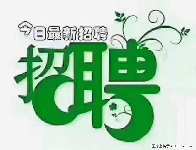 上海隔离酒店招人：55岁以下 男女不限 - 职场交流 - 新乡生活社区 - 新乡28生活网 xx.28life.net