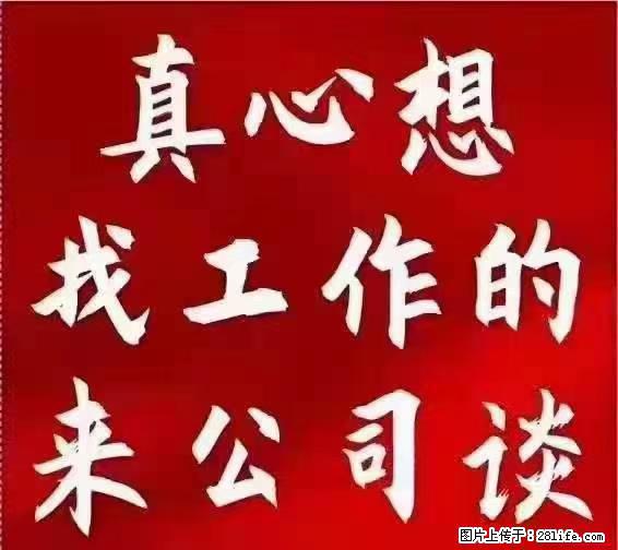 【上海】国企，医院招两名男保安，55岁以下，身高1.7米以上，无犯罪记录不良嗜好 - 职场交流 - 新乡生活社区 - 新乡28生活网 xx.28life.net