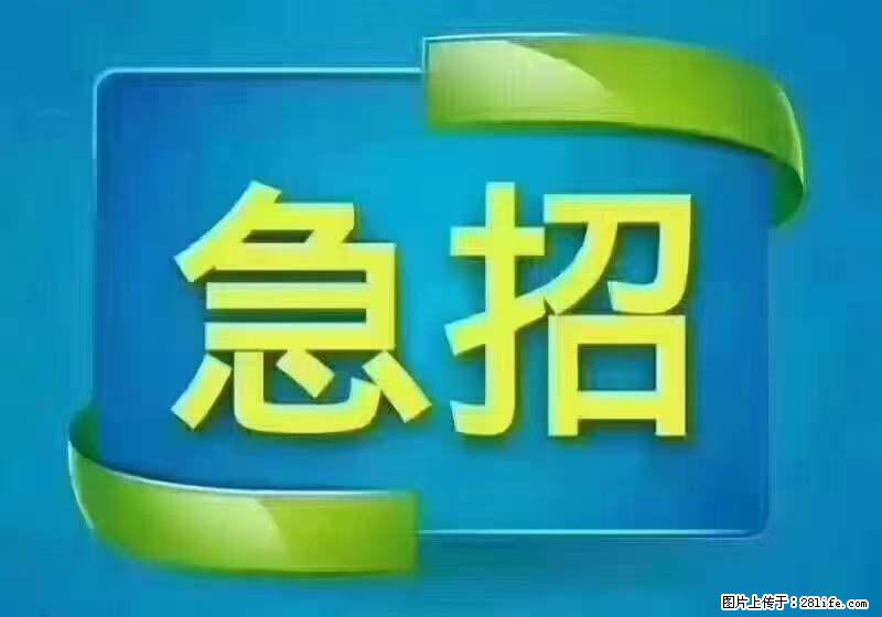 招出纳8000元/月，无证可以，要有相关经验，上海五险一金，包住，包工作餐，做六休一。 - 职场交流 - 新乡生活社区 - 新乡28生活网 xx.28life.net