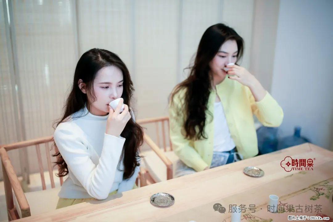 时间果百年古树龙珠普洱生茶 - 购物交流 - 新乡生活社区 - 新乡28生活网 xx.28life.net