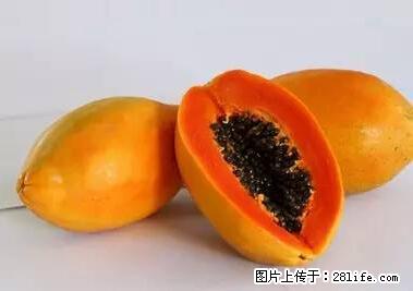 晕车、脚气、牙齿变黄、皮肤粗糙？学会这些三分钟搞定！ - 新乡生活资讯 - 新乡28生活网 xx.28life.net
