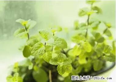 晕车、脚气、牙齿变黄、皮肤粗糙？学会这些三分钟搞定！ - 新乡生活资讯 - 新乡28生活网 xx.28life.net