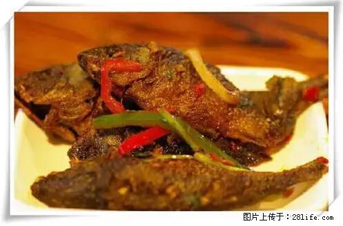 来广西旅游必吃这20道桂菜，不然就白来广西啦！ - 新乡生活资讯 - 新乡28生活网 xx.28life.net
