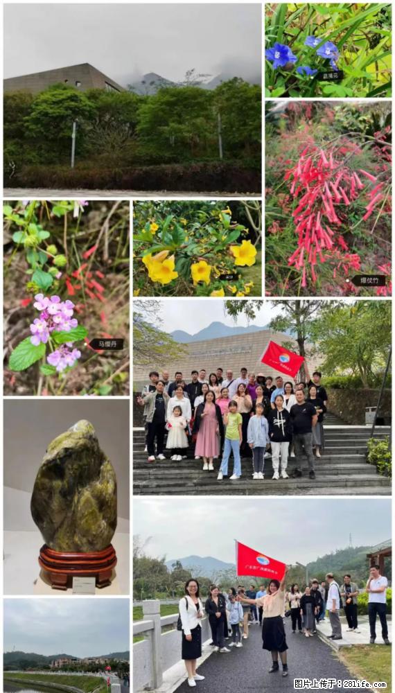 “粤灌文化 美好生活”油茶文化主题活动在广东深圳成功举办 - 新乡生活资讯 - 新乡28生活网 xx.28life.net