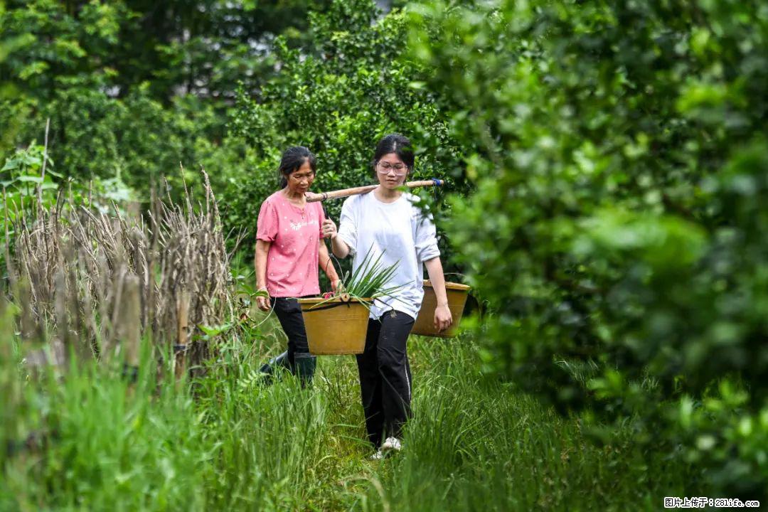全网追的“扁担女孩”，找了一份暑假工，时薪12元 - 新乡生活资讯 - 新乡28生活网 xx.28life.net