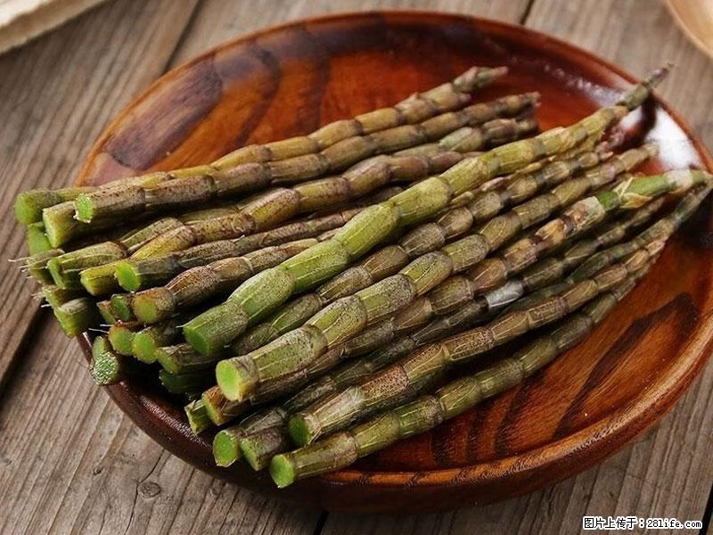 铁皮石斛的作用与功能主治 - 新乡生活资讯 - 新乡28生活网 xx.28life.net